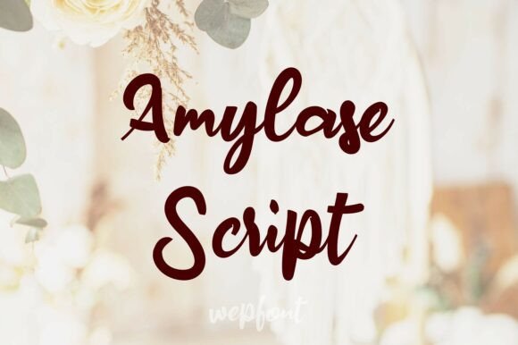 Amylase Script: The Handwritten Font for Your Brand