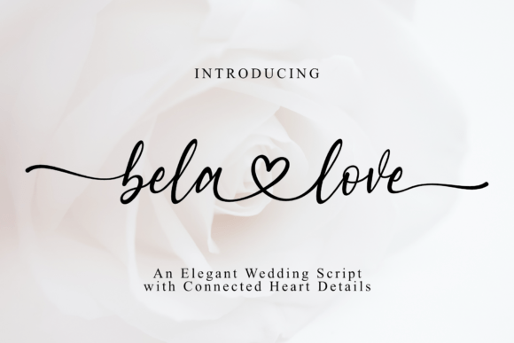 Bela Love: A Romantic Script Font for Business Branding