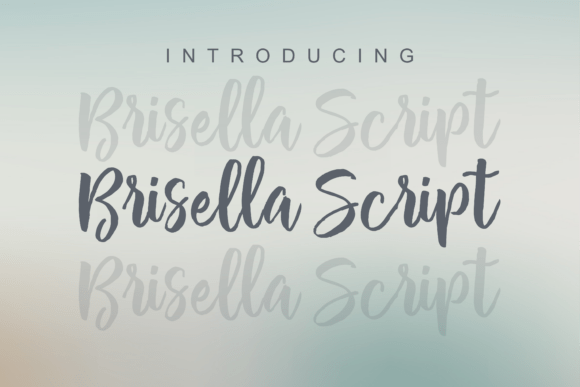 Brisella Script: The Elegant Handwritten Font for Campaigns